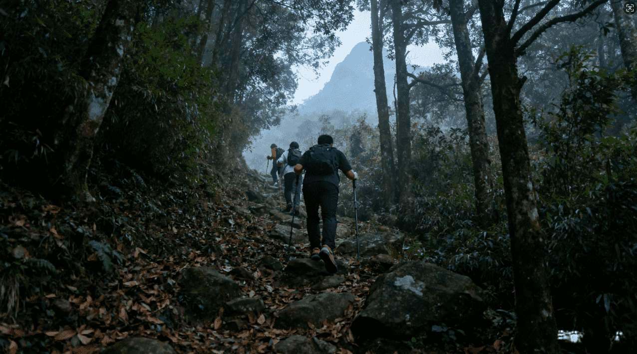 常用的加速器推荐：快速访问Ins的方法介绍